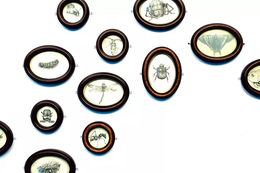 Detail of "Inhaling the Spore" - COURTESY OF BRIAN COLLIER