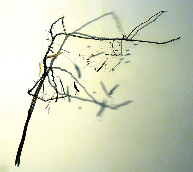 Northern Cross" by Brenda Garand - COURTESY OF BRENDA GARAND