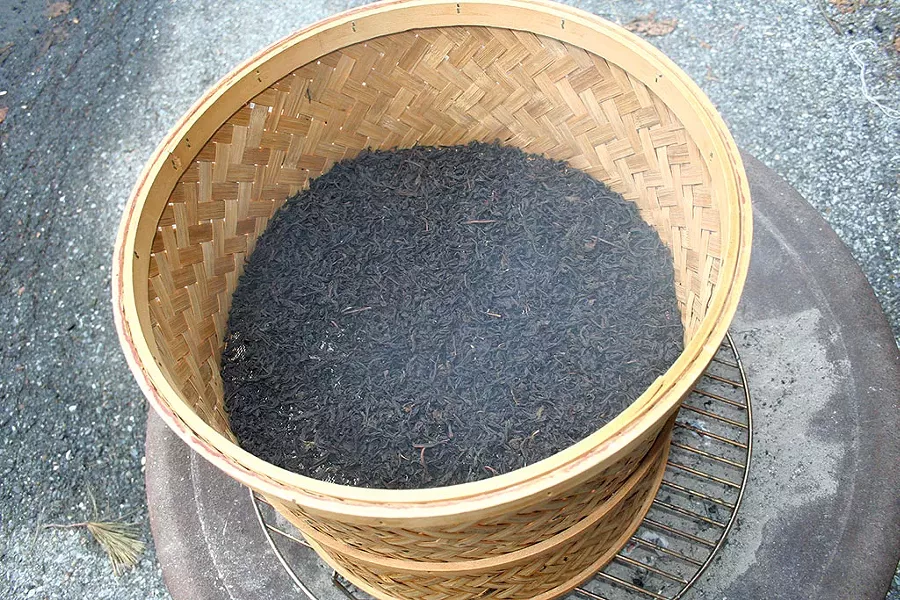 Smoking tea leaves - SUZANNE PODHAIZER
