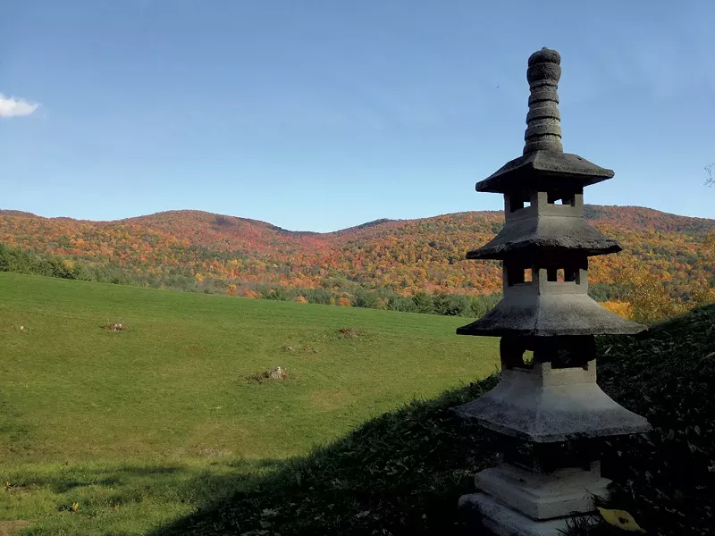View from the Japanese garden - ALYSSA BENNETT