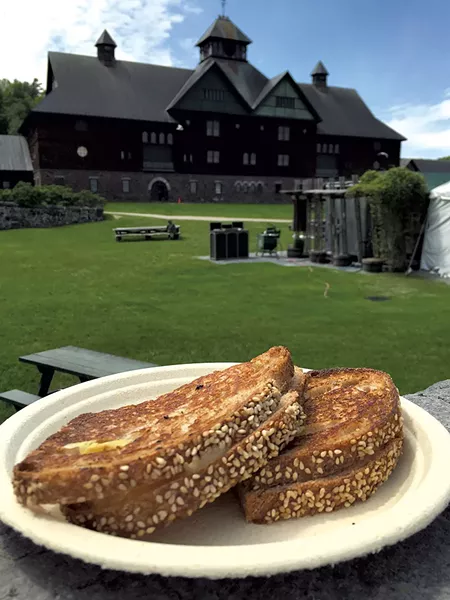 Shelburne Farms' Brown Swiss herd