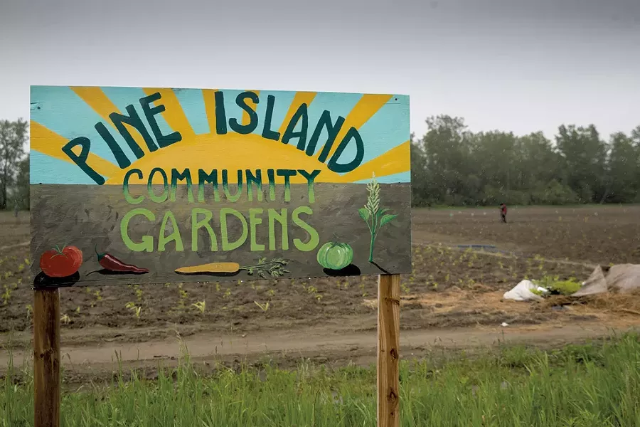 Pine Island Community Farm - JAMES BUCK
