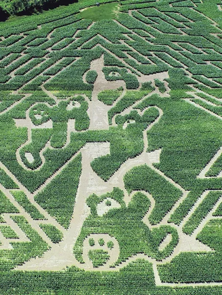 Aerial shot of the Great Vermont Corn Maze - OVER AND ABOVE PHOTOGRAPHY