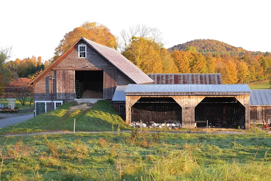 farmstays1-1-e20d2fea85b31545.jpg