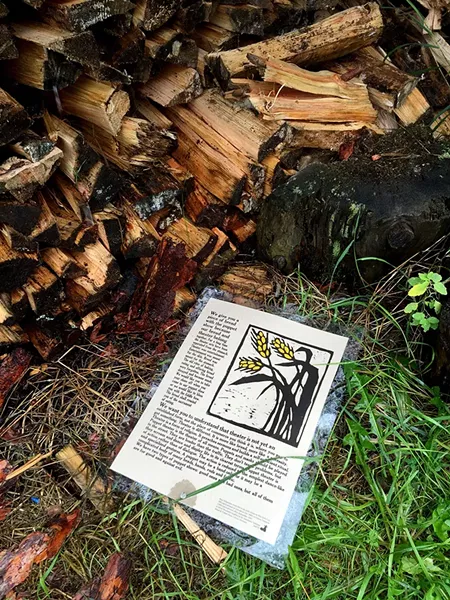 The woodpile - SALLY POLLAK