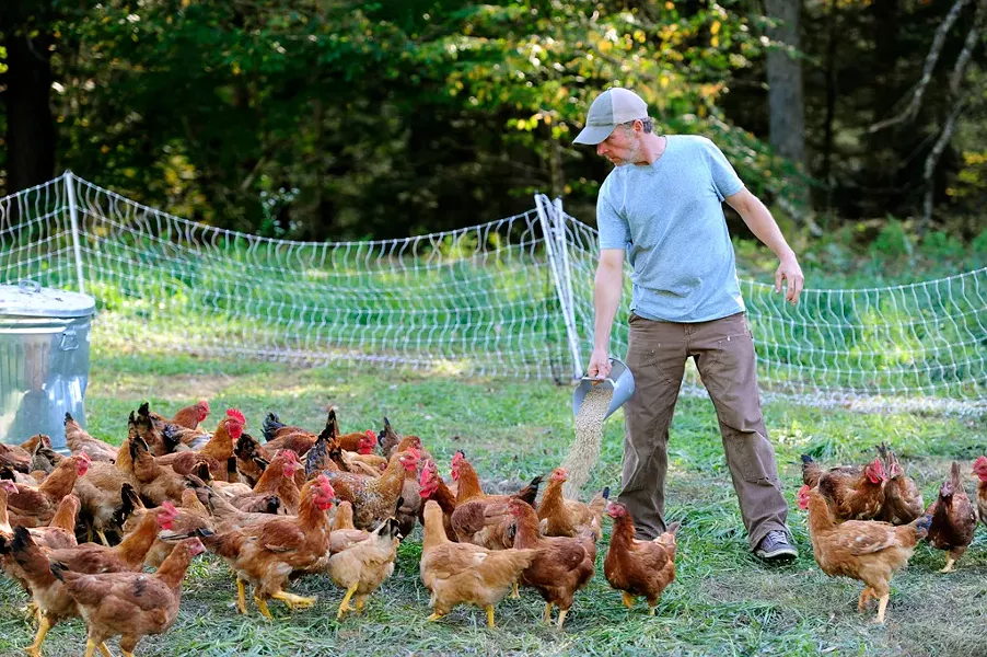 Craig Oshkello feeding chickens - JEB WALLACE-BRODEUR