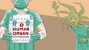 Protection Sought for Medical Marijuana Users Who Need an Organ Transplant