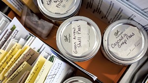 Items in the seed library