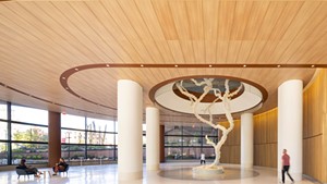 "Decoding the Tree of Life" by Maya Lin in the Pavilionat the Hospital of the University of Pennsylvania