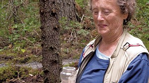 A Birder Needs Help to Keep Dead Creek Clear of Harmful Invasives