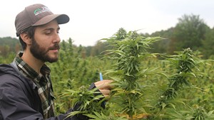 Michael DiTomasso during an inspection of a grow operation in Bridport