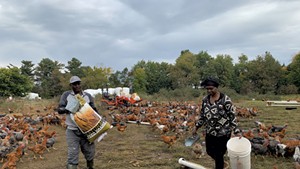 Th&eacute;og&egrave;ne Mahoro and Hyacinthe Mahoro Ayingeneye feeding their chickens