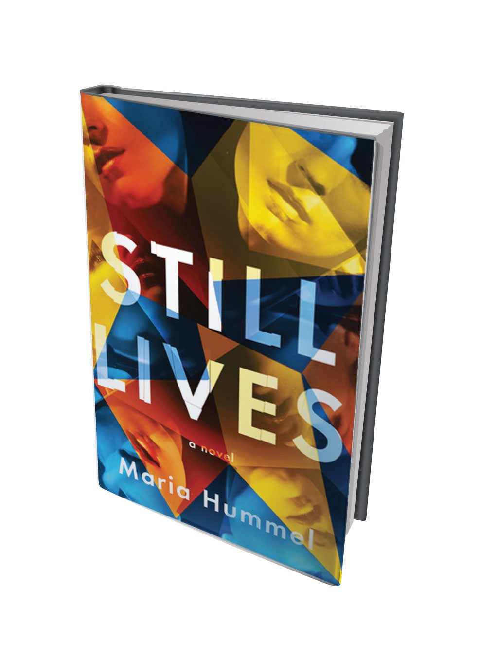 bundt Bot sfærisk Quick Lit: 'Still Lives' by Maria Hummel | Books | Seven Days | Vermont's  Independent Voice
