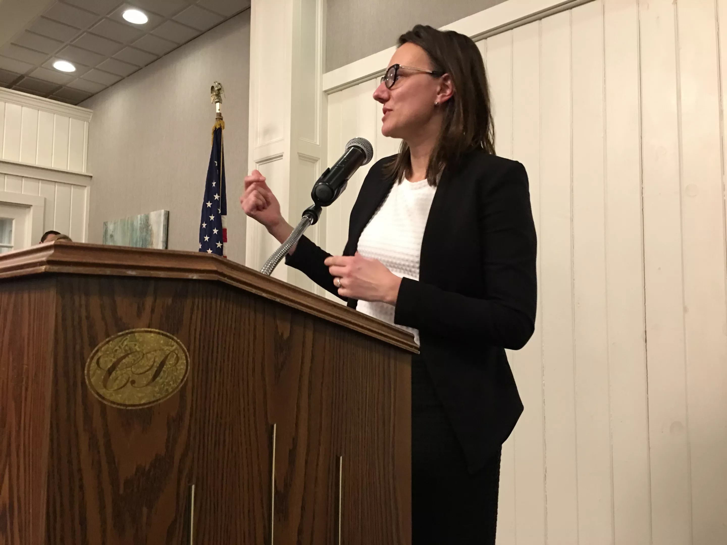 Walters Krowinski Feted at Democratic Fundraiser Off Message