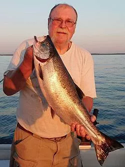 Steven Attree Hopkins