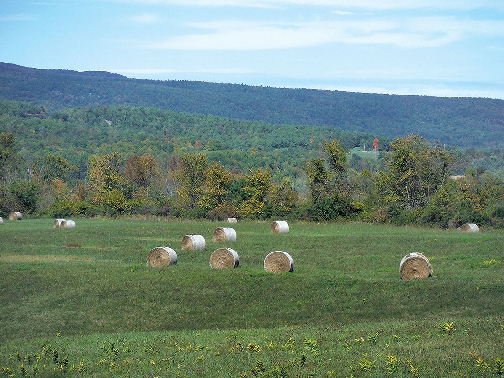 Hale bales at the foot of Bald Mountain - ETHAN DE SEIFE