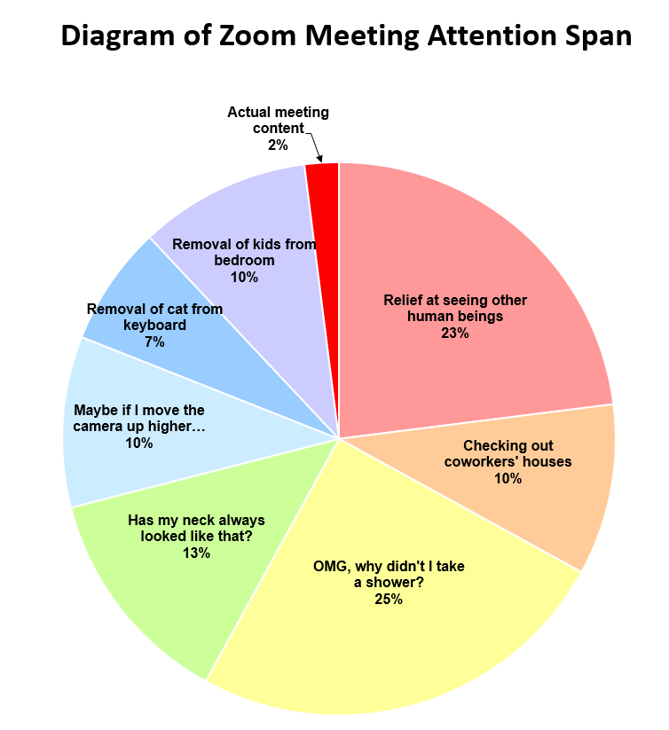 Burlington Resident's Zoom Meeting Meme Goes Viral | Live Culture