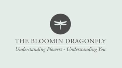 The Bloomin' Dragonfly