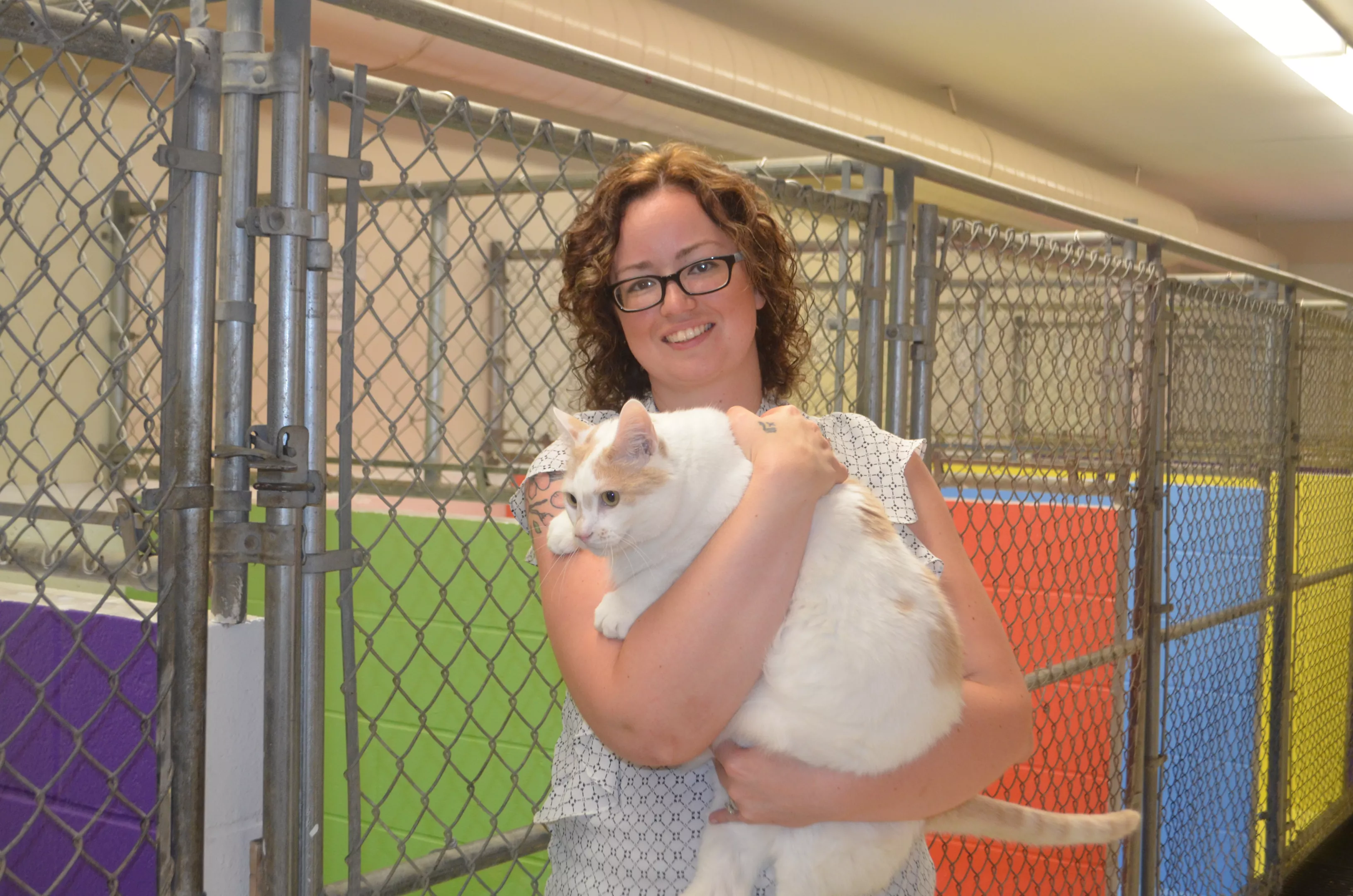 franklin county pet adoption center
