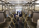 USDA Seeks to Close Organic Dairy Loophole