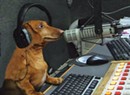 In Memoriam: Hobbes, Canine Host of the "Bruce & Hobbes" Radio Show