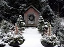 Conifers for the Win: Planning for Your Winter Garden