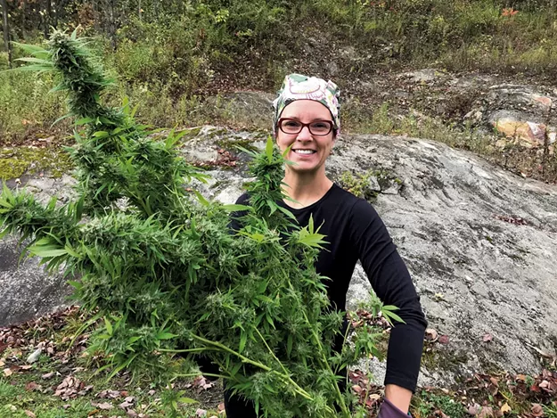 Who Speaks for Medical Cannabis Patients in an Adult-Use Market? - Vimarsana News