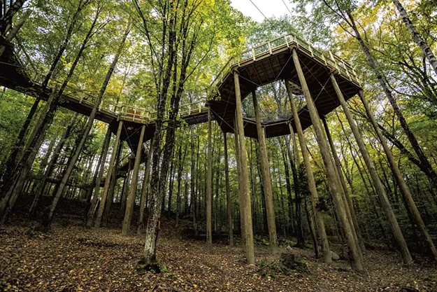 A June To-Do List, From Outdoor Music to Yoga in the Trees - Vimarsana News