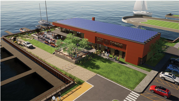 Plans Halted for Doc Ponds on the Burlington Waterfront - Vimarsana News