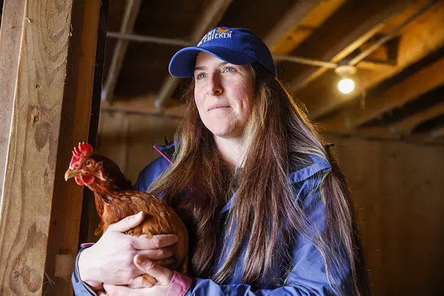 Rent the Chicken's Seasonal Rentals Help Vermonters Raise Backyard Hens - Vimarsana News