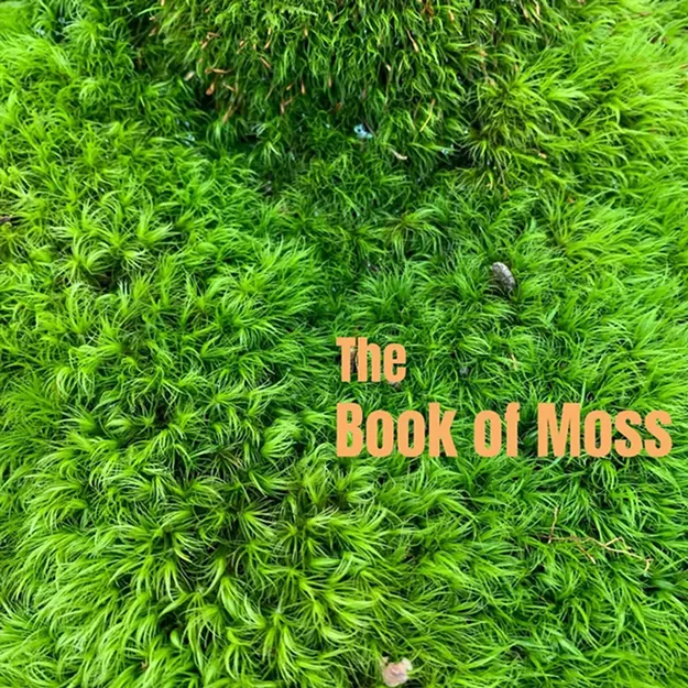 Bow Thayer, 'The Book of Moss' - Vimarsana News