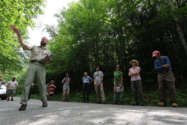 Tree Huggers Applaud Biden Order That Could Protect Vermont Forests