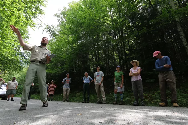 Tree Huggers Applaud Biden Order That Could Protect Vermont Forests Tree Huggers Applaud Biden Order That Could Protect Vermont Forests