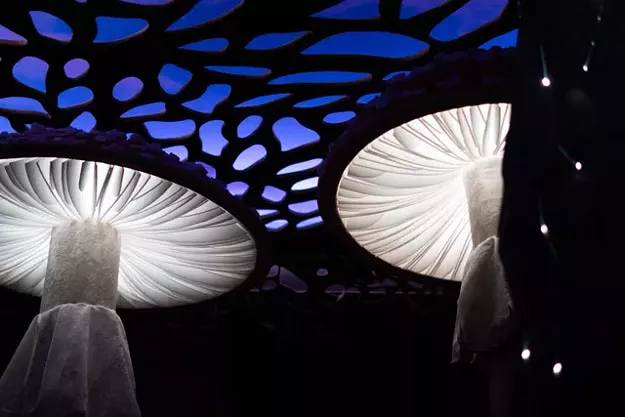 Huge, Immersive Art Destination Planned for Essex Junction - Vimarsana News