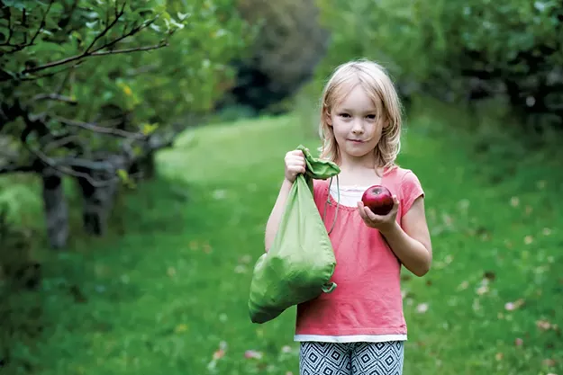 Scott Farm Orchard in Dummerston Is All About Heirloom Apples - Vimarsana News