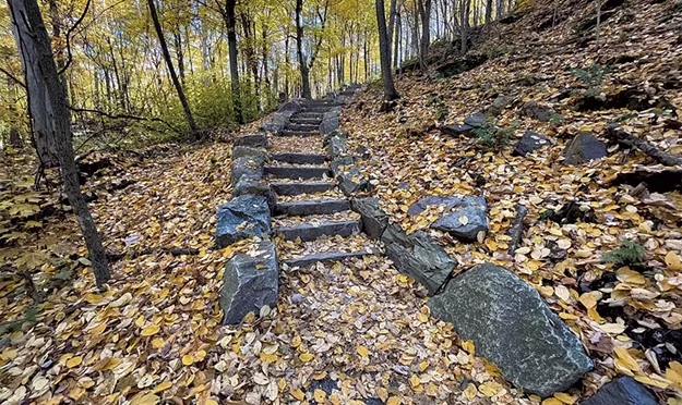 From the Publisher: Deadline Foliage - Vimarsana News