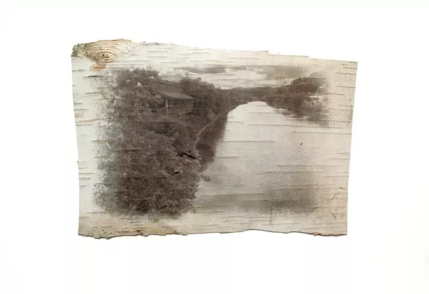 Photographer Richard Moore Transforms City Scenes With Birch Bark - Vimarsana News