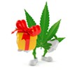 The Cannabis Catch-Up: What’s the Deal With Gifting?