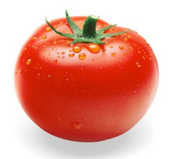foodnews-tomato.jpg
