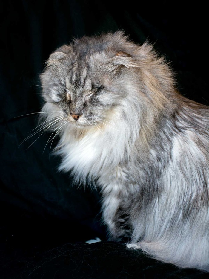 Hes quite glamorous. Hes quite glamorous.