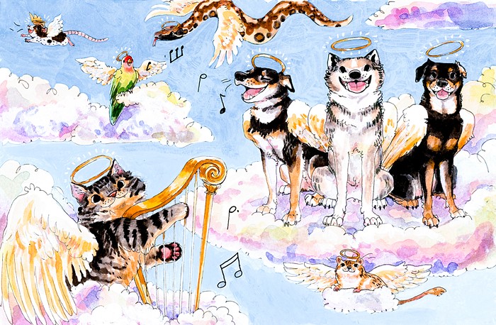 Mourning the Dead with Seattle Animal Shelter’s Pet Loss Support Group