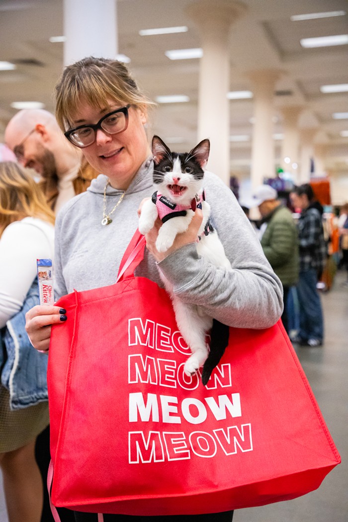 Cease Doom-Scrolling and Have a look at These Photographs from Seattle’s Largest Cat Conference 3 img 0012