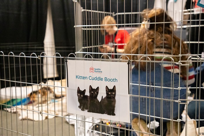 Cease Doom-Scrolling and Have a look at These Photographs from Seattle’s Largest Cat Conference 7 img 0018