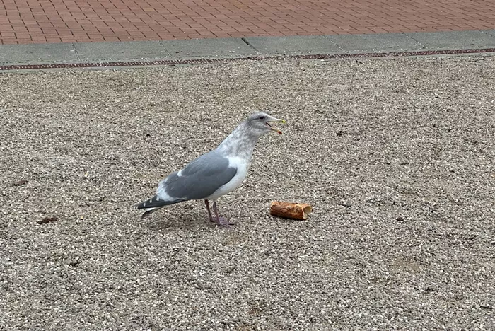 Slog AM: Fire Destroys Hong Kong Apartment Towers, AG Nick Brown Sues Trump Again, and King County Has a New Boss