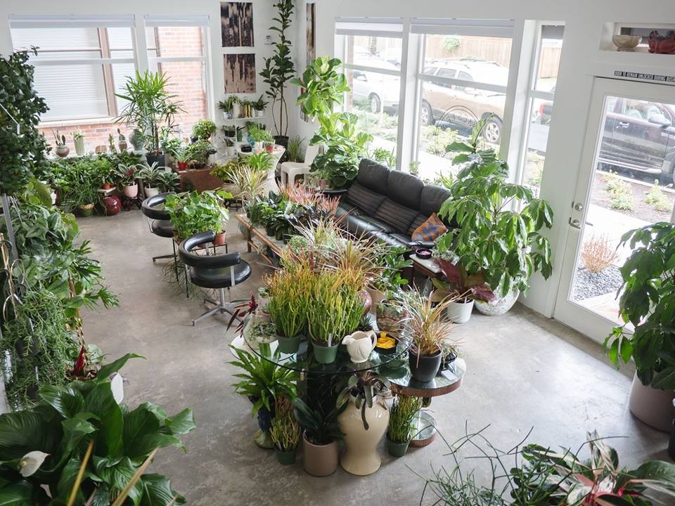  Plant  Shop  Grand Opening Sale at Plant  Shop  Seattle in 