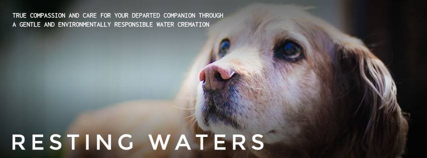 The Afterlife Of Pets And Resting Waters At Resting Waters In Seattle Wa On Sun Sept 9 2018 1 2 30 Pm Seattle Community Civics Events Calendar The Stranger