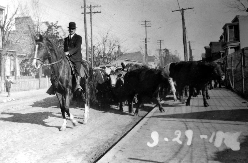 After being unloaded from nearby railcars, cattle are herded west along unpaved West Leigh Street toward Hermitage Road where the Southern Stockyard and Union Stockyard once were. - COPYRIGHT RICHMOND IN SIGHT