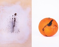 In &quot;Blackline 7,&quot; Wachob tattoos her abstract design on leather; in &quot;Scratch 1,&quot; she inks an orange&#39;s rind.