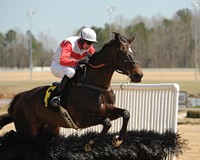 The Dogwood Classic at Colonial Downs
