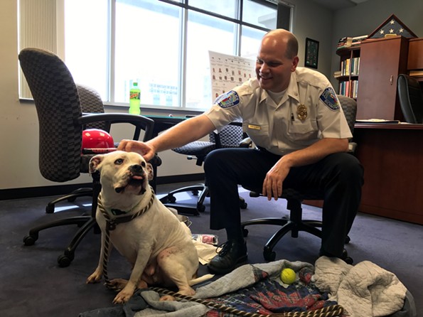 Deputy Chief of Police Steve Drew hangs out with Adele on National Take Your Dog to Work Day Friday. Adele is adoptable from Richmond Animal Care and Control. - JACKIE KRUSZEWSKI